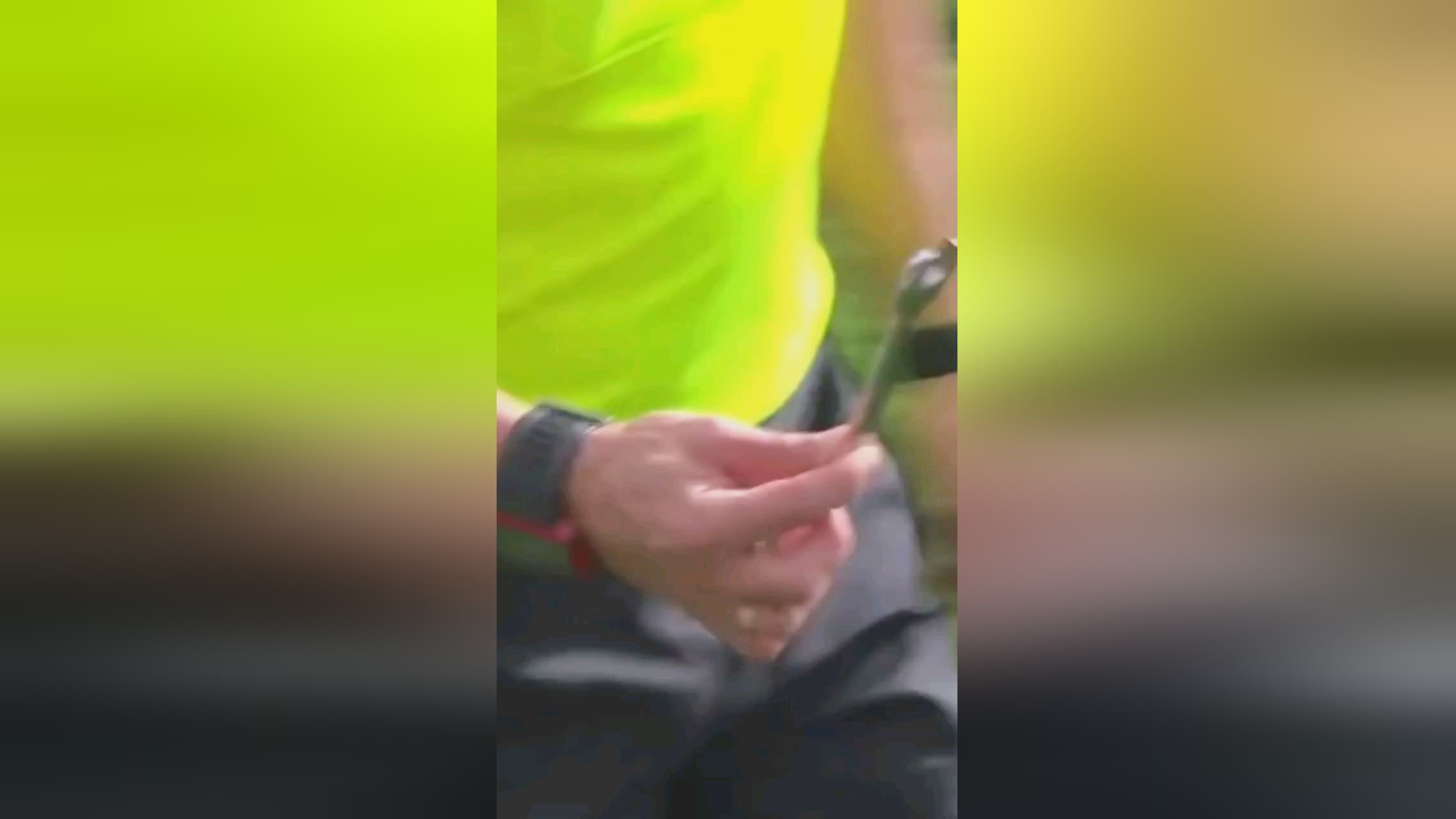 是影响评